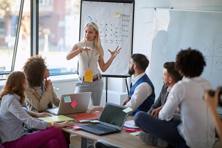 Group of professionals around a table and a women is giving a presentation in front of a white board